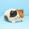 COJIN GATITO BALVI